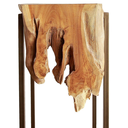 New Pacific Direct Jansen Reclaimed Teak Root High Side/ End Table, Natural  - 9600028