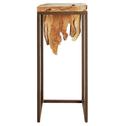 New Pacific Direct Jansen Reclaimed Teak Root High Side/ End Table, Natural  - 9600028